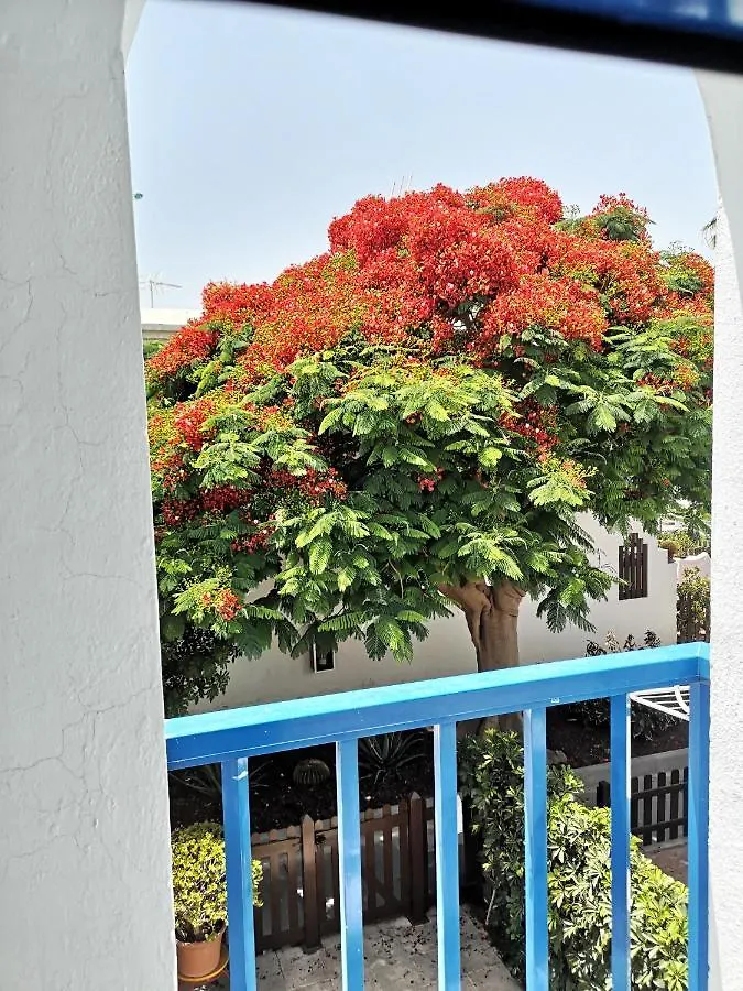 Maspalomas Casa La Loba Tatil Evi Maspalomas (Gran Canaria)