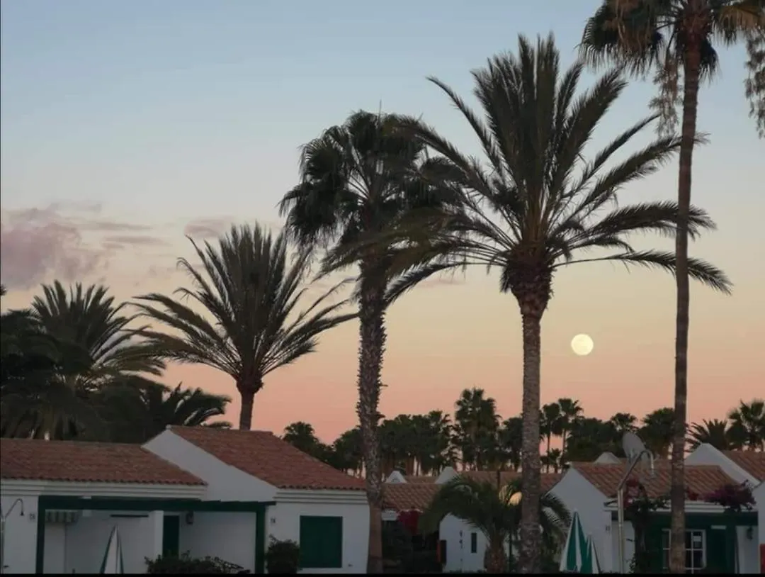 Tatil Evi Maspalomas Casa La Loba İspanya